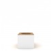 Pencil Holder White